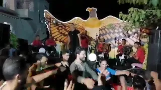 عمرو شهد ملك الربوخ و الفن البدوي  عمرو شهد ملك الربوخ و الفن البدوي