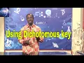 Using Dichotomous key in Biology Identification of organisms