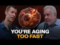 Harvard Doctor reveals Cause of Aging You ve Never Heard Of Dr Andrew Salzman