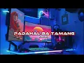 PADAHAL BA TAMANG!!!(FANDY MIX).REMIX.2025