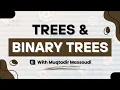 Everything You Need To Know About Trees And Binary Trees in Less Than 13 Minutes