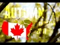 Download Lagu Canon 80D: Musim gugur di Canada |TKI Canada