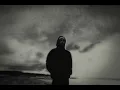 ASLAN YAKIŞMAZ KAFESTE 2.0 - WEGH / KESKİN