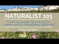 Naturalist 101 Shifting Sands The Geology of Cumberland Island National Seashore