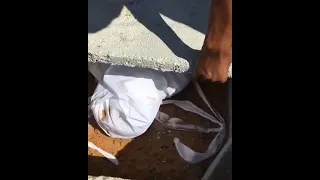 فتح قبر ربما اليهودي 