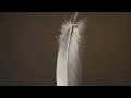 Kalaman - Bengali [Saisons Musique]