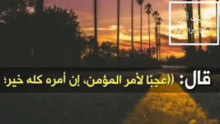 المؤمن نفسه طيبة مطمئنة  العلامه محمد صالح العثيمين رحمه الله دندنها