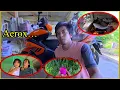 Download Lagu Naayos narin sya at ang daming dragonfruit