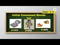 Grade 3 Initial and Final Consonant Blends Lesson