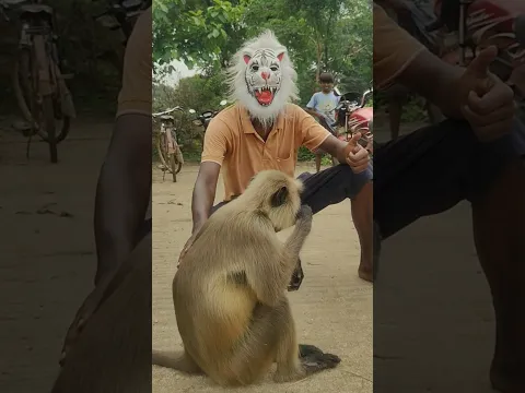 Hanuman video 🎈🍒