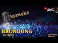 Download Lagu BRONDONG KARAOKE - Iis Apita