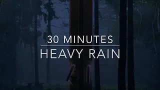 Rain Sounds ASMR Heavy Rain On Window 30 Minute Rain Sounds For Sleep ADHD Fall Asleep Fast 