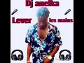 Download Lagu Anelka dj lever les mains