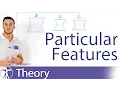 Particular Features of a Lumbar Vertebral Body Lumbar Spine Series