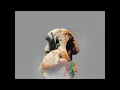 Keaton Henson - To Your Health [HD]