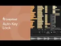 Loopcloud 101