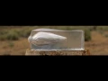 44 Magnum vs Gel Block