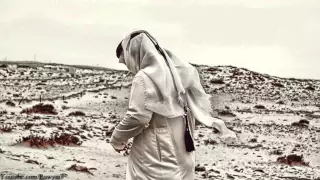 شيلة ودي اضمك اداء مشاري بن نافل مسرع تحميل         دندنها
