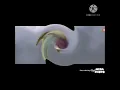 Download Lagu sid and scrat scream swirl major