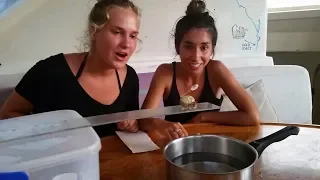 Ep.172 Olympics with Hermit Crabs