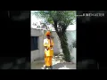 Download Lagu पुष्टि पताका मेरे तो आधार श्री वल्लभ के चरणारविंद