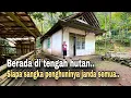 Download Lagu HANYA LIMA RUMAH..!! INILAH KAMPUNG JANDA TERSEMBUNYI DI TENGAH HUTAN PEGUNUNGAN BANYUMAS.