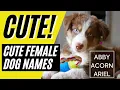 Top 40 Unique FEMALE Dog Names - Girl Dog Names