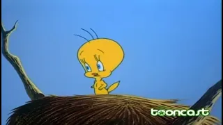 Looney Tunes | Tooncast | 19/06/2023 | Exibição da noite (21h30)
