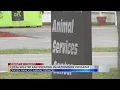Craven - Pamlico Animal Services selected for nationwide program