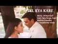 Download Lagu Dil Kya Kare | Lirik \u0026 Terjemahan Indonesia