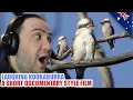 Download Lagu 🇦🇺 First Time Seeing LAUGHING Australian Bird \