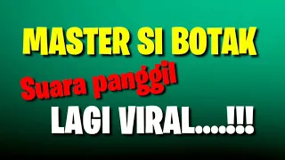 Download Masternya Sp (si botak) suara panggil walet yang lagi viral MP3