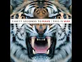 Thirty Seconds To Mars - L490