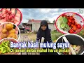 Download Lagu MAKIN KESINI SEMUA MAKIN MAHAL⁉️ HARUS PINTAR-PINTAR DAN HARUS RAMBAN-RAMBAN