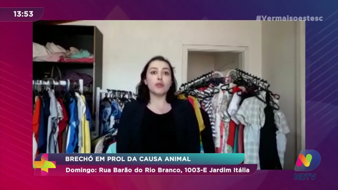 Brechó em prol da causa animal acontece no domingo (12), em Chapecó