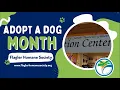 City of Palm Coast Celebrates Adopt a Dog Month in Collaboration with Flagler Humane Society