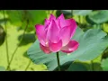 5 Hours of Third Charm by Joseph Beg | Soothing Binaural Music for stress relief