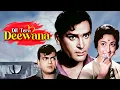 Download Lagu DIL TERA DEEWANA | Hindi Full Movie In Colour | Shammi Kapoor Hit Movie | Mala Sinha, Mehmood, Pran