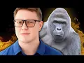 The Death of Harambe 10 Years Later