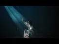 Download Lagu Novelbright - カノープス [Official Music Video]