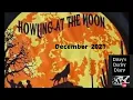 Howling At the Moon Yuma AZ December 2021