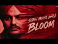 Bloom - Sidhu Moose Wala Song ( Nirvair Pannu) Music Iron Beatz | Persona