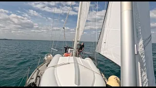 No Days Wasted WHSE165