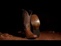 STETSON Quality In Every Step