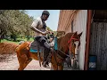 Houston Free-roam Horse Riding H-TOWN TX