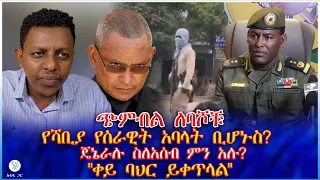 ጭምብል ለባሾቹ የሻቢያ የሰራዊት አባላት ቢሆኑስ ጄኔራሉ ስለአሰብ ምን አሉ ቀይ ባህር ይቀጥላል 