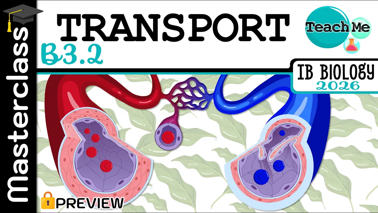 (B3.2) - Transport - IB Biology (SL/HL)