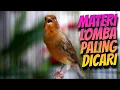 Lagu MASTERAN KENARI MATERI LOMBA PALING DI CARI - SUARA KENARI ISIAN PRENJAK CIBLEK