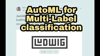 AutoML code for Multi-Label classification using Ludwig
