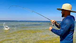 Red Tide Can t Stop Us From Finding Big Fish Sanibel Island